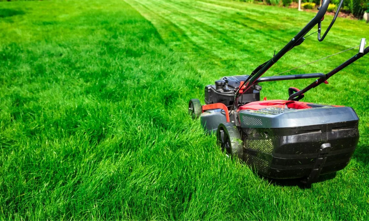 Rasen neu anlegen – Anleitung für einen perfekten Garten