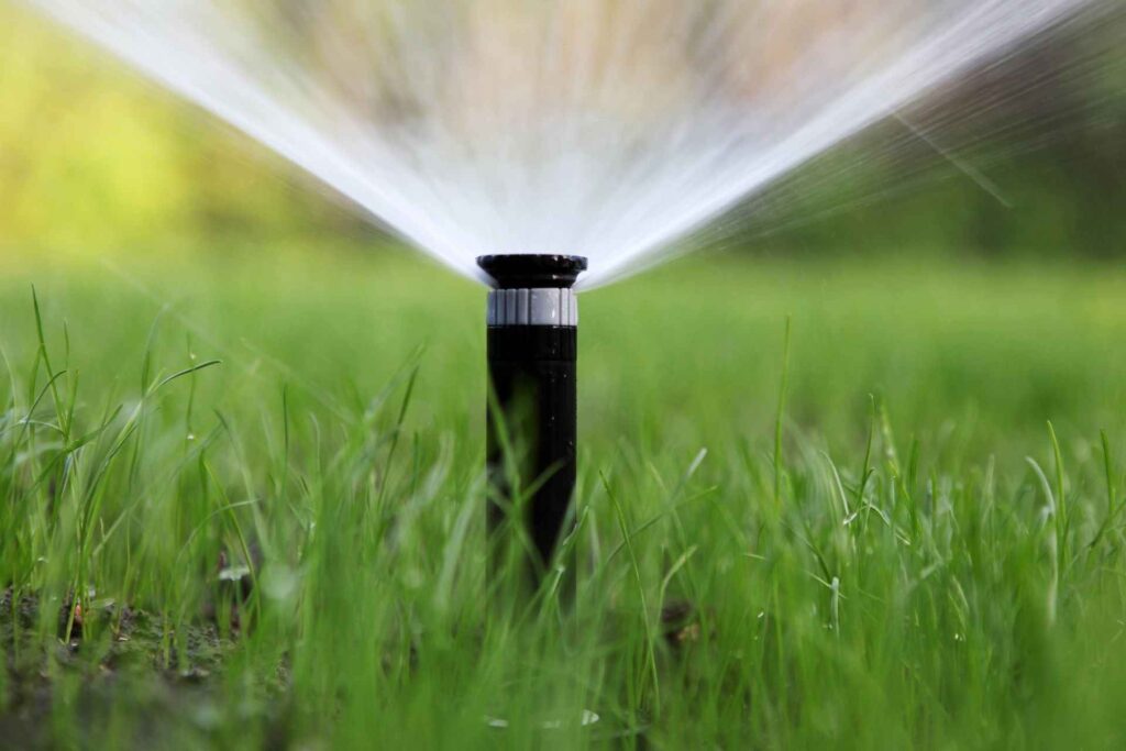 Der große Gartenbewässerung Ratgeber