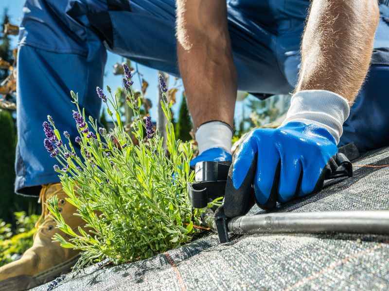 Bewässerungssystem selber bauen - DIY Tipps.