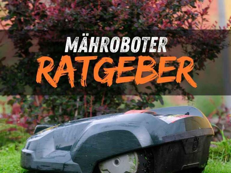 Mähroboter Ratgeber: Funktionen, Kosten & Kaufberatung