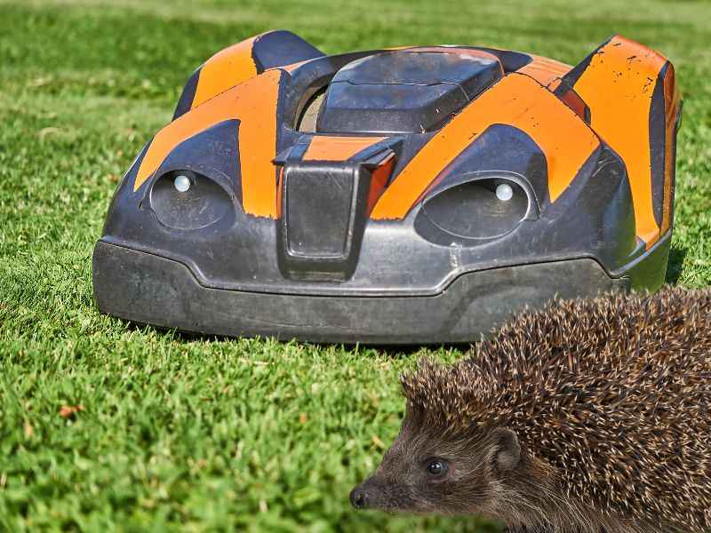 Mähroboter Sicherheit, Risiken & Rechtliches erklärt