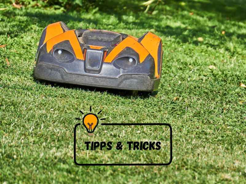 Mähroboter Tipps: Tricks für perfekten Rasen