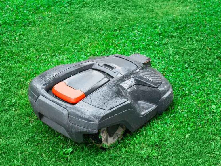 Mähroboter installieren: Anleitung, Tipps & häufige Fehler vermeiden